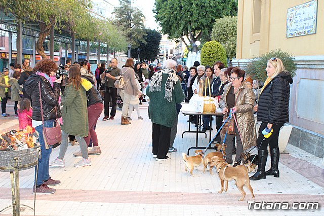 Bendicin animales San Antn 2018 - 256
