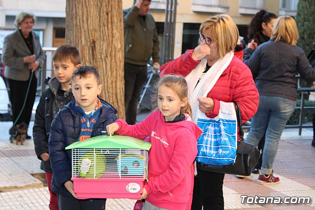 Bendicin animales San Antn 2018 - 258