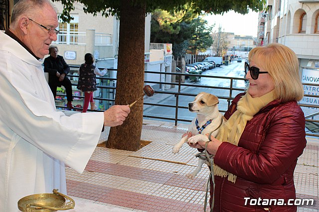 Bendicin animales San Antn 2018 - 259