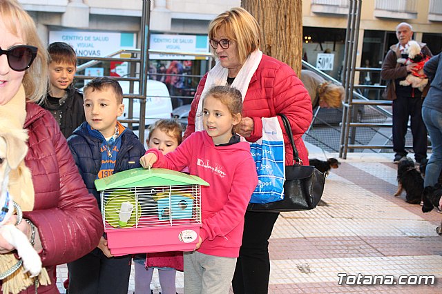 Bendicin animales San Antn 2018 - 260