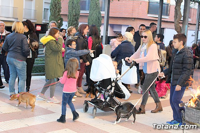 Bendicin animales San Antn 2018 - 266