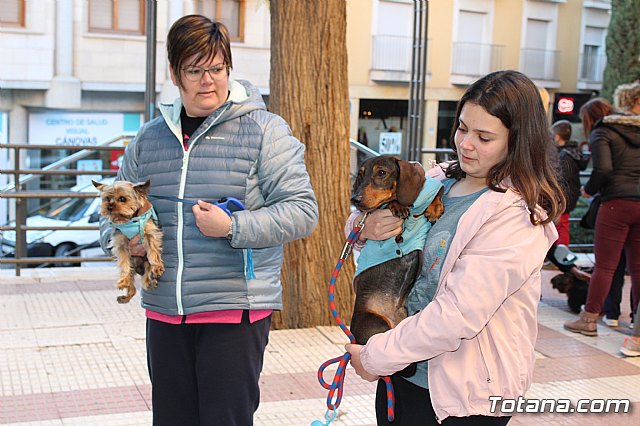 Bendicin animales San Antn 2018 - 272