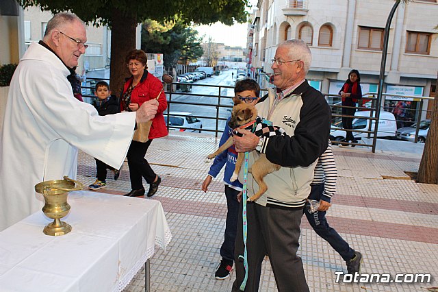 Bendicin animales San Antn 2018 - 275