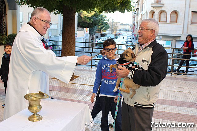 Bendicin animales San Antn 2018 - 276