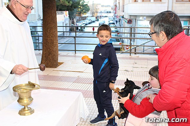 Bendicin animales San Antn 2018 - 278