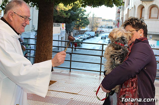 Bendicin animales San Antn 2018 - 279