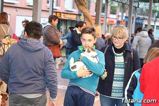 Bendicin animales San Antn 2018 - 281