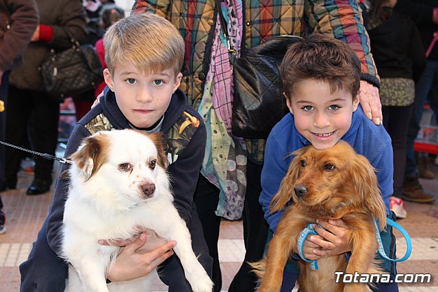 Bendicin animales San Antn 2018 - 283