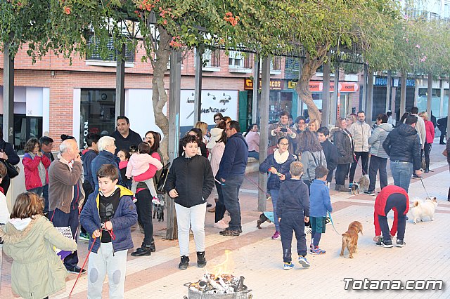 Bendicin animales San Antn 2018 - 285