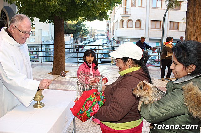 Bendicin animales San Antn 2018 - 287