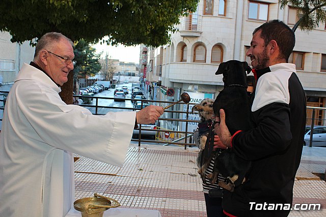 Bendicin animales San Antn 2018 - 290
