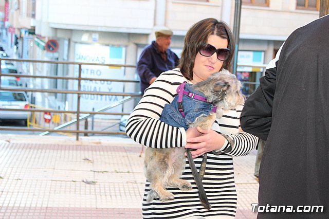 Bendicin animales San Antn 2018 - 291