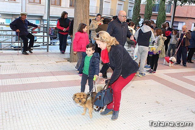 Bendicin animales San Antn 2018 - 293