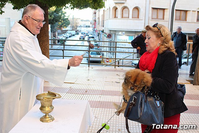 Bendicin animales San Antn 2018 - 294