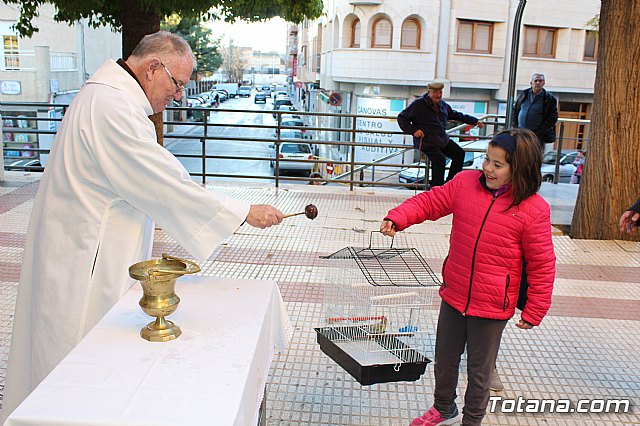 Bendicin animales San Antn 2018 - 295