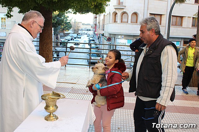 Bendicin animales San Antn 2018 - 296