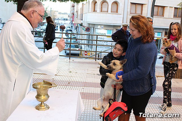 Bendicin animales San Antn 2018 - 302