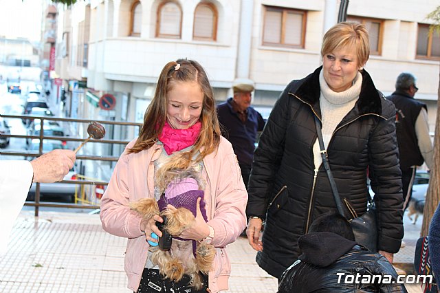 Bendicin animales San Antn 2018 - 304