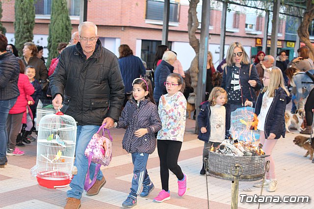 Bendicin animales San Antn 2018 - 307