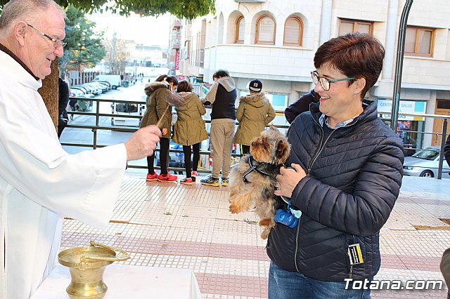 Bendicin animales San Antn 2018 - 311