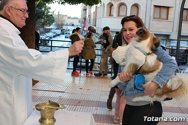 Bendicin animales San Antn 2018 - 313