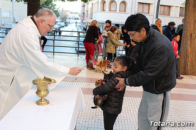 Bendicin animales San Antn 2018 - 323