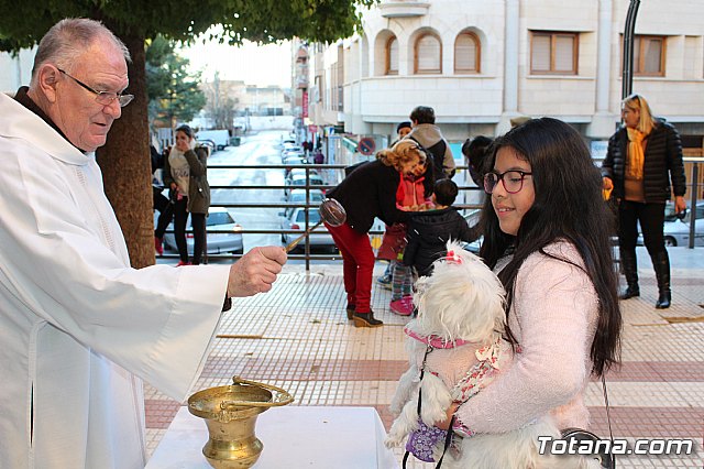 Bendicin animales San Antn 2018 - 324