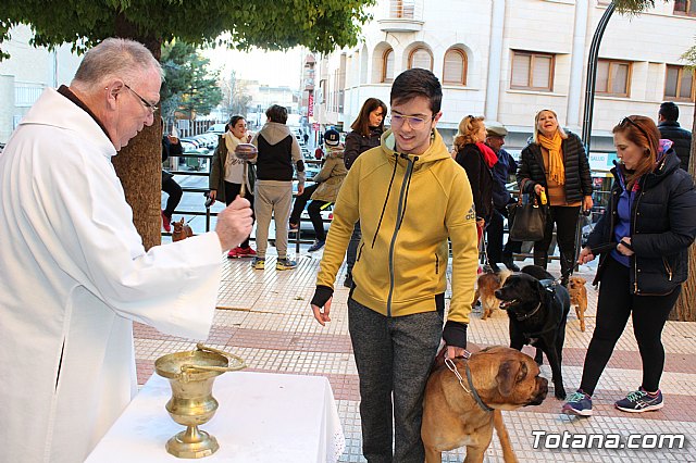 Bendicin animales San Antn 2018 - 327