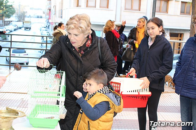 Bendicin animales San Antn 2018 - 331