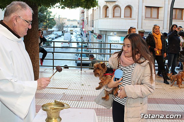 Bendicin animales San Antn 2018 - 333