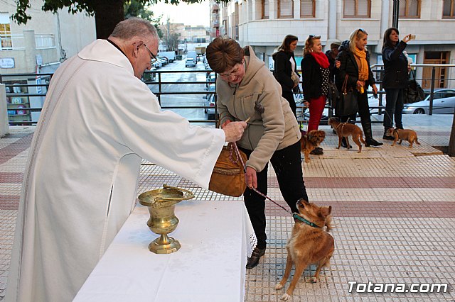 Bendicin animales San Antn 2018 - 334