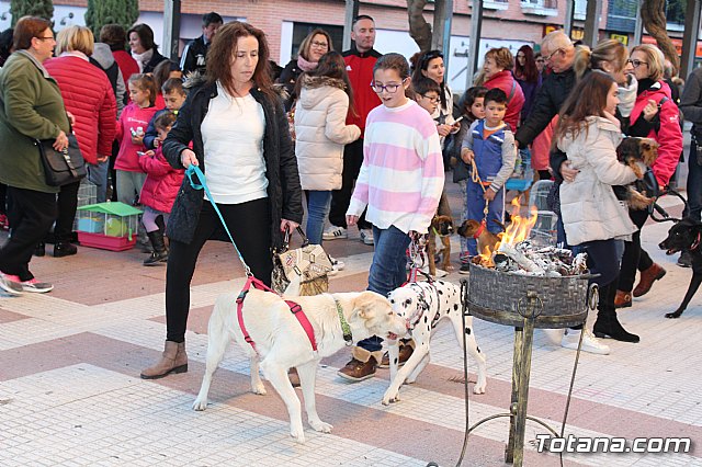 Bendicin animales San Antn 2018 - 335