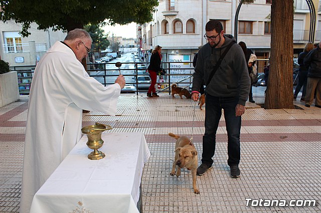 Bendicin animales San Antn 2018 - 337