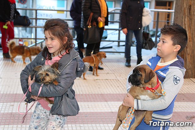 Bendicin animales San Antn 2018 - 338