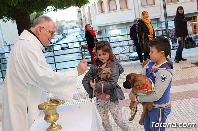 Bendicin animales San Antn 2018 - 339