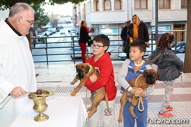 Bendicin animales San Antn 2018 - 340