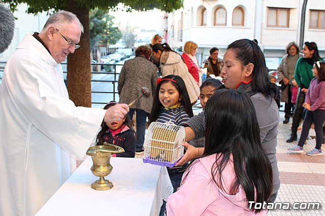 Bendicin animales San Antn 2018 - 343