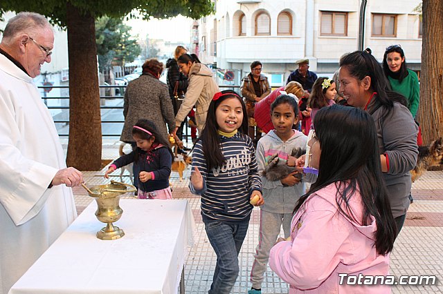 Bendicin animales San Antn 2018 - 344