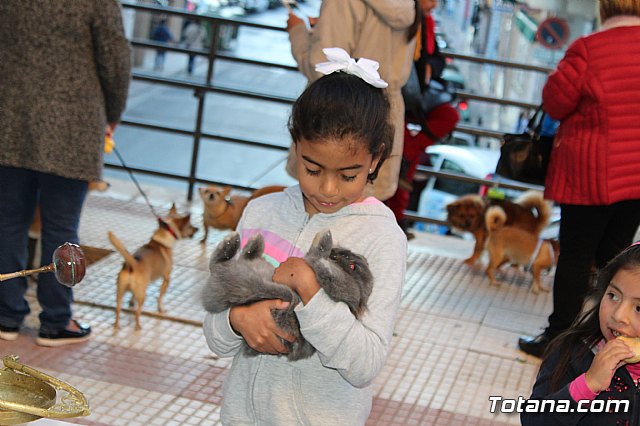 Bendicin animales San Antn 2018 - 346