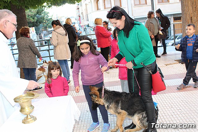 Bendicin animales San Antn 2018 - 348