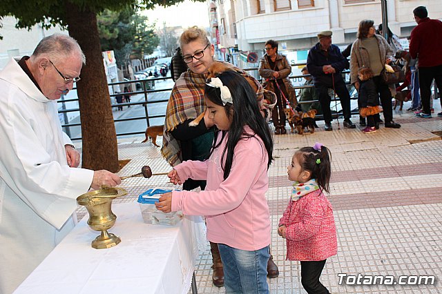 Bendicin animales San Antn 2018 - 349