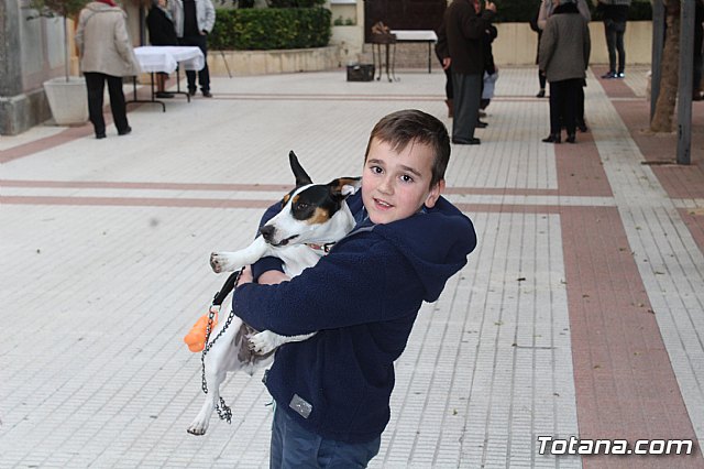 Bendicin de animales San Antn Totana 2019 - 6