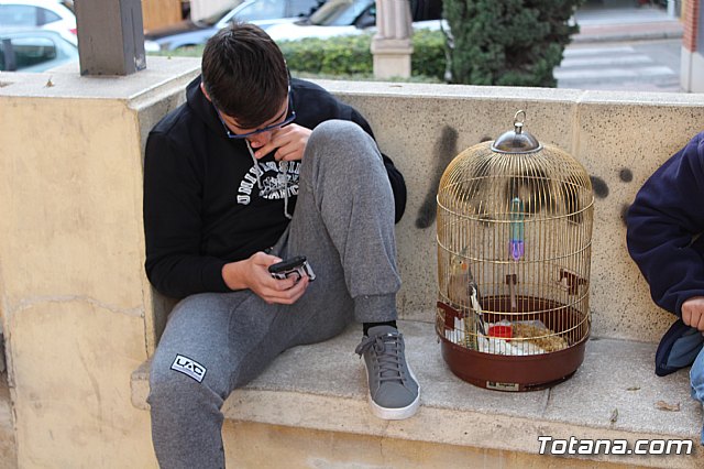 Bendicin de animales San Antn Totana 2019 - 9