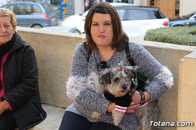 Bendicin de animales San Antn Totana 2019 - 10