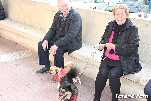 Bendicin de animales San Antn Totana 2019 - 11