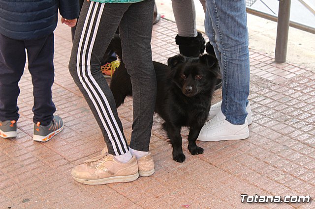 Bendicin de animales San Antn Totana 2019 - 14