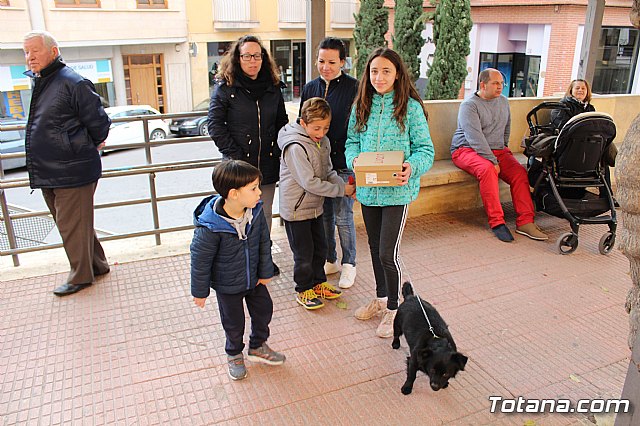 Bendicin de animales San Antn Totana 2019 - 15
