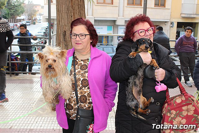 Bendicin de animales San Antn Totana 2019 - 30
