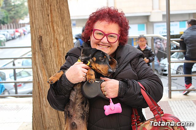 Bendicin de animales San Antn Totana 2019 - 31