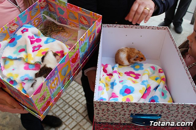 Bendicin de animales San Antn Totana 2019 - 39